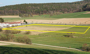 Überplantes Feuchtwiesen-Biotop in Affolterbach