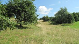 Landschaft westlich von Rimbach