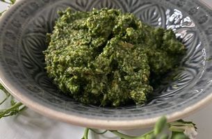 Pesto aus Radieschenblättern
