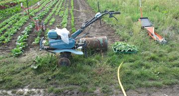 Arbeitsgeräte auf dem Gemüsefeld