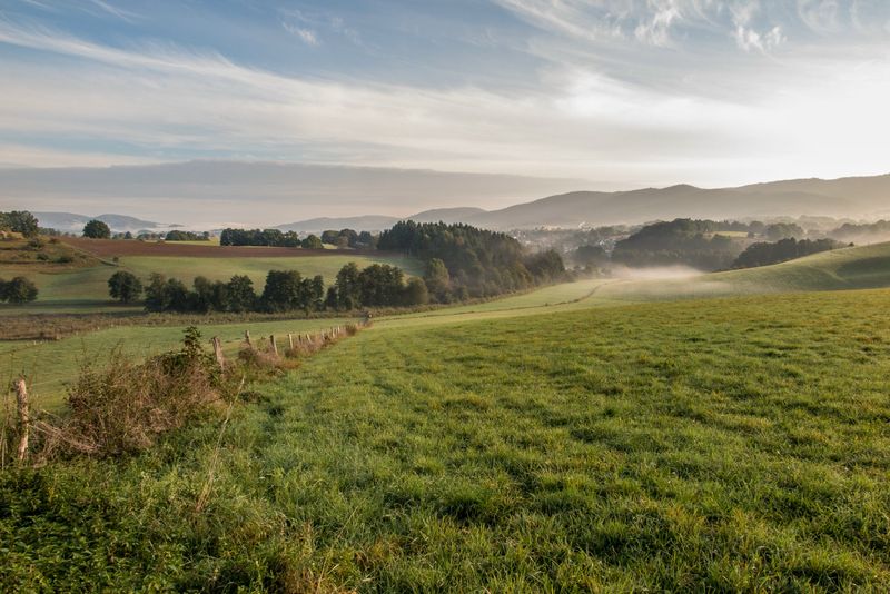 Natur zwischen Mörlenbach und Rimbach
